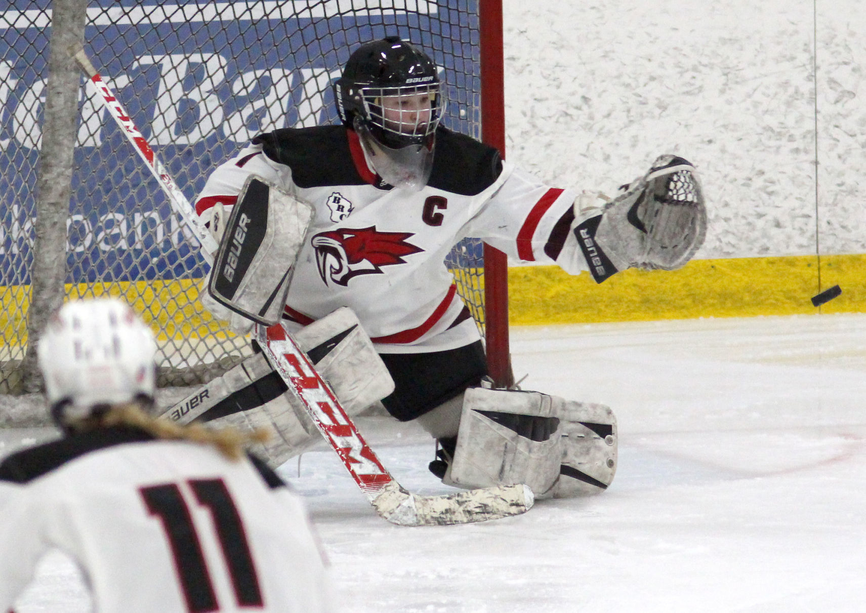 Hayward at Chippewa Falls/Menomonie girls hockey 2-20-20
